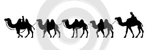 Camel Herder Silhouette illustration. Camel Caravan Silhouette