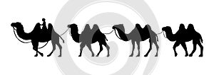 Camel Herder Silhouette illustration. Camel Caravan Silhouette