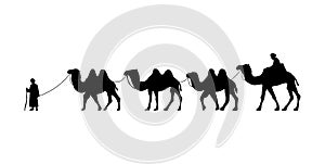 Camel Herder Silhouette illustration. Camel Caravan Silhouette