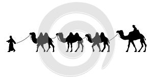 Camel Herder Silhouette illustration. Camel Caravan Silhouette