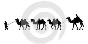 Camel Herder Silhouette illustration. Camel Caravan Silhouette