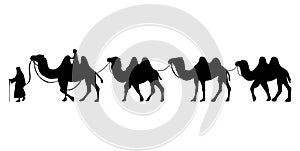 Camel Herder Silhouette illustration. Camel Caravan Silhouette