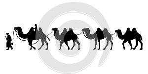 Camel Herder Silhouette illustration. Camel Caravan Silhouette