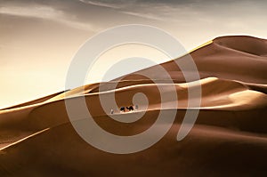 Camel herder walking with his camel train through the large sand dunes. Local man with white scarf and camels. Desert landscape