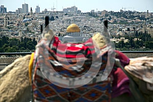 Camel Hump & Dome of the Rock