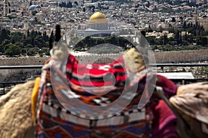 Camel Hump & Dome of the Rock