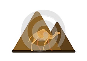 Camel icon. Cartoon illustration of camel on pyramid background.