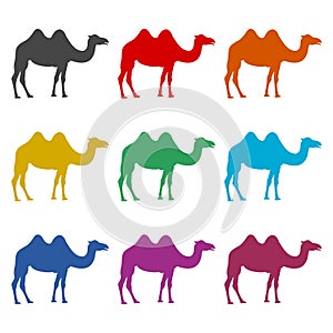 Camel icon silhouette logo, color set