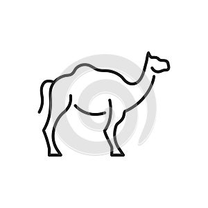 Camel icon