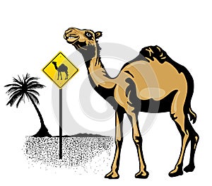 Camel illustration with sign