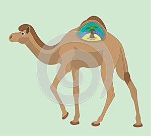 Camel and the island in a hump.