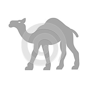 Camel Isolated Vector icon that can be easily modified or edited
