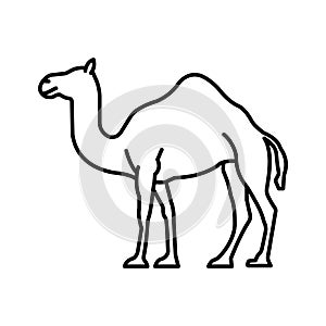 Camel Isolated Vector icon which can easily modify or edit