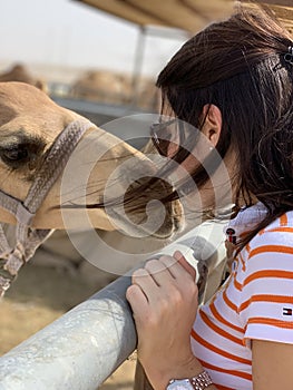 Camel Kiss - camel market scene in Qatar