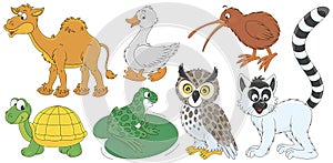 Camel, lemur, kiwi, goose, turtle, frog and owl