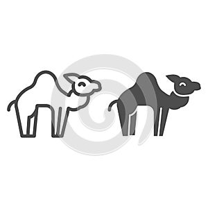 Camel line and solid icon. Desert caravan animal silhouette. Animals vector design concept, outline style pictogram on