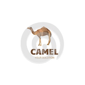 Camel logo