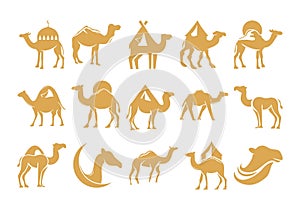 Camel Logo Creative Element Set