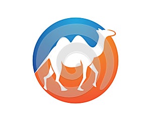 Camel logo template