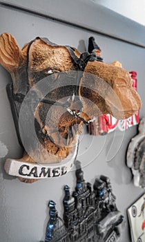 Camel Magnetic Souvenir