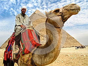 Camel Man in Front of Giza Pyramid, Cairo, Egypt