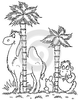 Camel and monkey