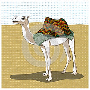 A camel in a multicolored blanket