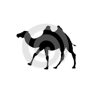 Camel outline vector icon, isolated on transparent background, concept illustration black silhouette