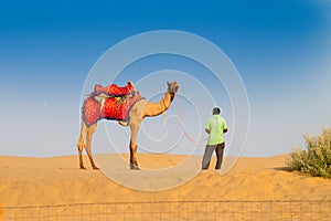 Camel owner with camel, Camelus dromedarius, while waiting for tourists at sand dunes of Thar desert. Camel riding is a