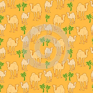 Camel pattern