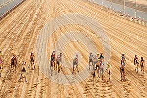 Camel Race Track Starting Point photo