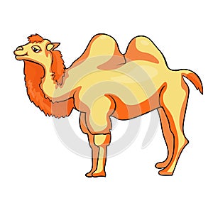 Camel redhead smiling a cartoon. Vector illustration