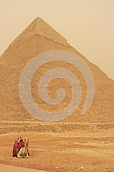 Camel resting near Pyramid of Khafre, Cairo