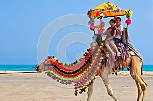 Camel Ride