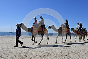 Camel ride on the beach of Geelong Victoria Australia