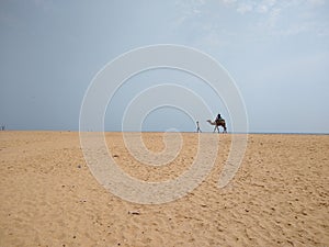 camel ride on the beach, golden sand beach, Poovar Thiruvananthapuram Kerala