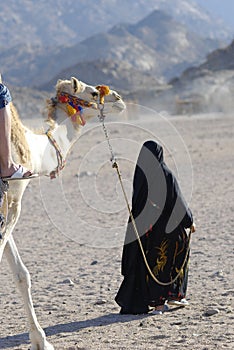Camel ride - berberian woman photo