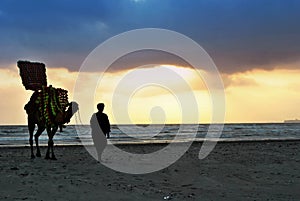 Camel ride at clifton beach Karachi