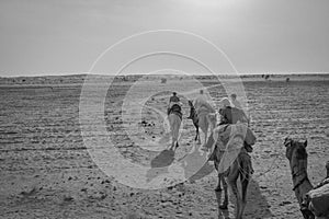 Camel Ride in the desert of Rajasthan, India