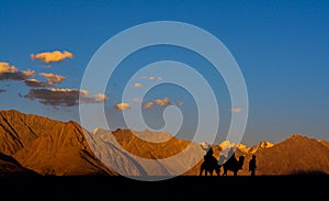 Camel ride in Nubra Valley, Ladakh, India