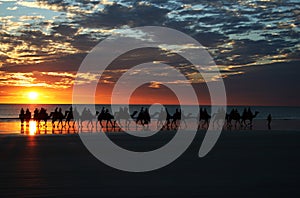 Camel Ride Sunset Cable Beach