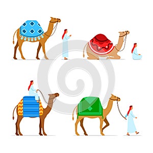 Camel Rider Flat Character Collection Set