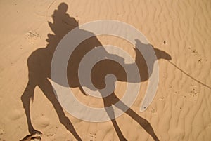 Camel rider shadow