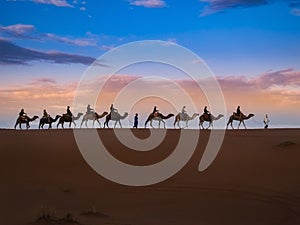 Camel riding of tourists caravan on sand dune in Sahara desert,