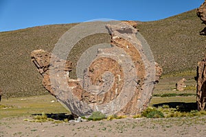 Camel Rock Formation in Italia Perdida in Bolivean altiplano - Potosi Department, Bolivia photo