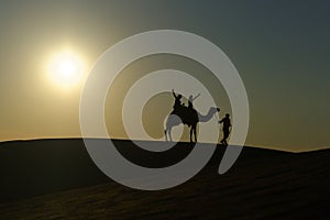 Camel safari in the desert