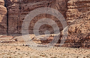 Camel safari at scenic desert Wadi Rum, Jorda