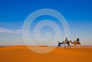 Camel safari on west sahara desert