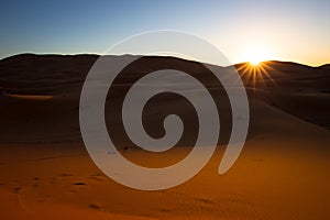 Camel safari on west sahara desert