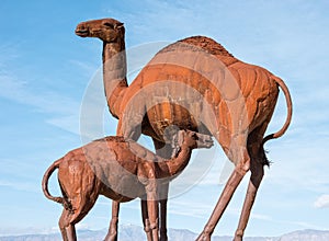 Camel sculpture in Galleta Meadows photo